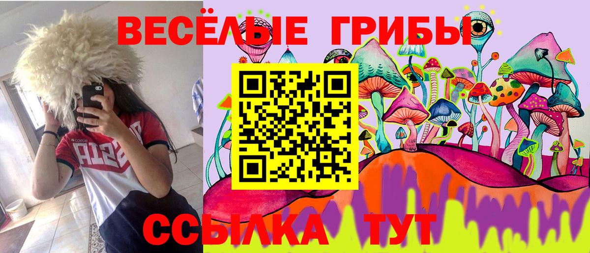 Галлюциногенные грибы Psilocybine cubensis Чита