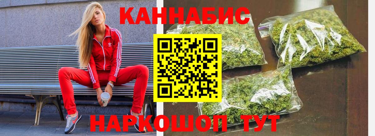 Чита  Бошки Шишки планчик  Вход с VPN  Марихуана Bruce Banner  Марихуана сатива 